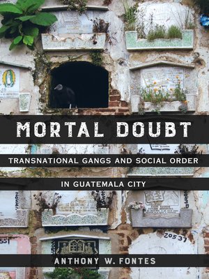 cover image of Mortal Doubt